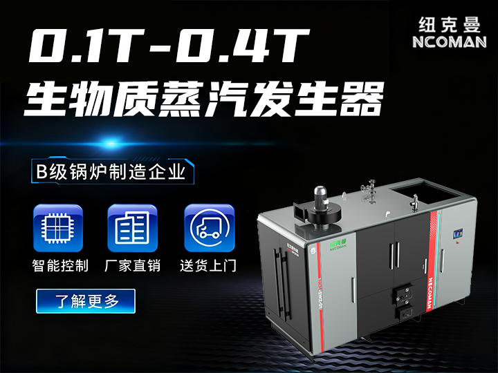 100kg-400kg 生物質(zhì)蒸汽發(fā)生器
