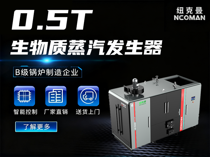 500kg 生物質(zhì)蒸汽發(fā)生器