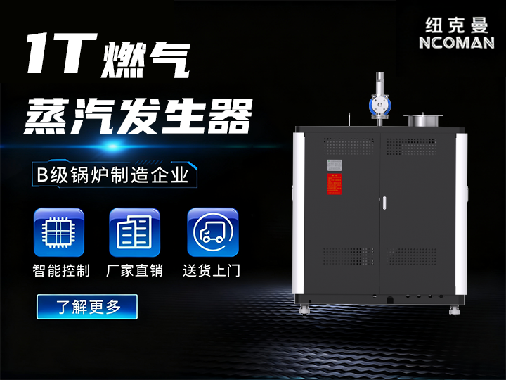 1噸 燃?xì)馊加驼羝l(fā)生器