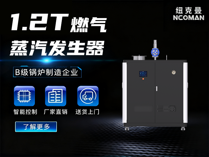 1.2噸 燃?xì)馊加驼羝l(fā)生器