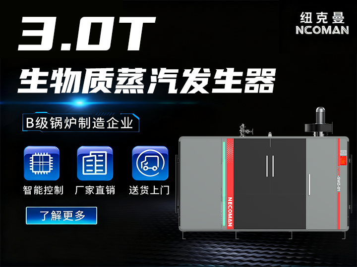 3噸 生物質(zhì)蒸汽發(fā)生器