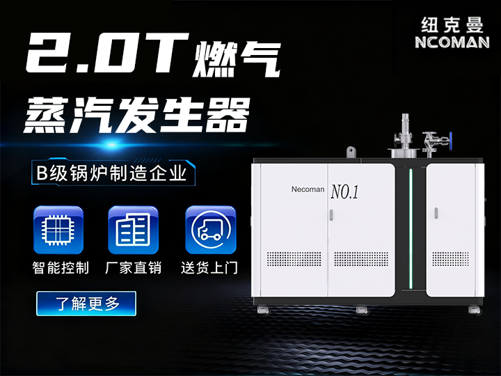 2.0噸 燃?xì)馊加驼羝l(fā)生器