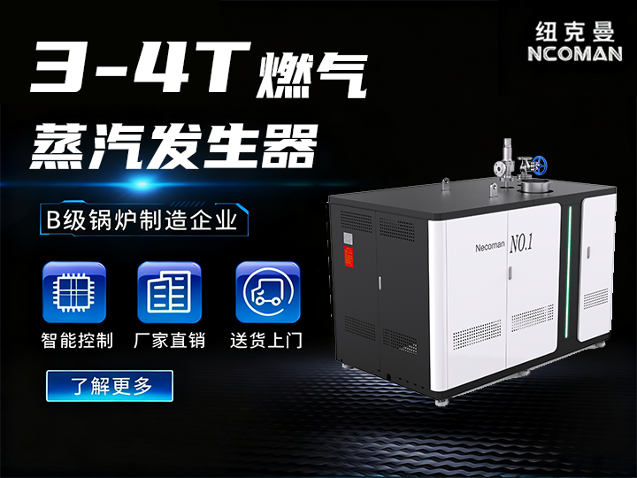 3噸-4噸 燃?xì)馊加驼羝l(fā)生器