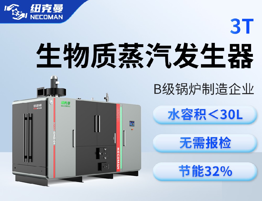 3噸 生物質(zhì)蒸汽發(fā)生器